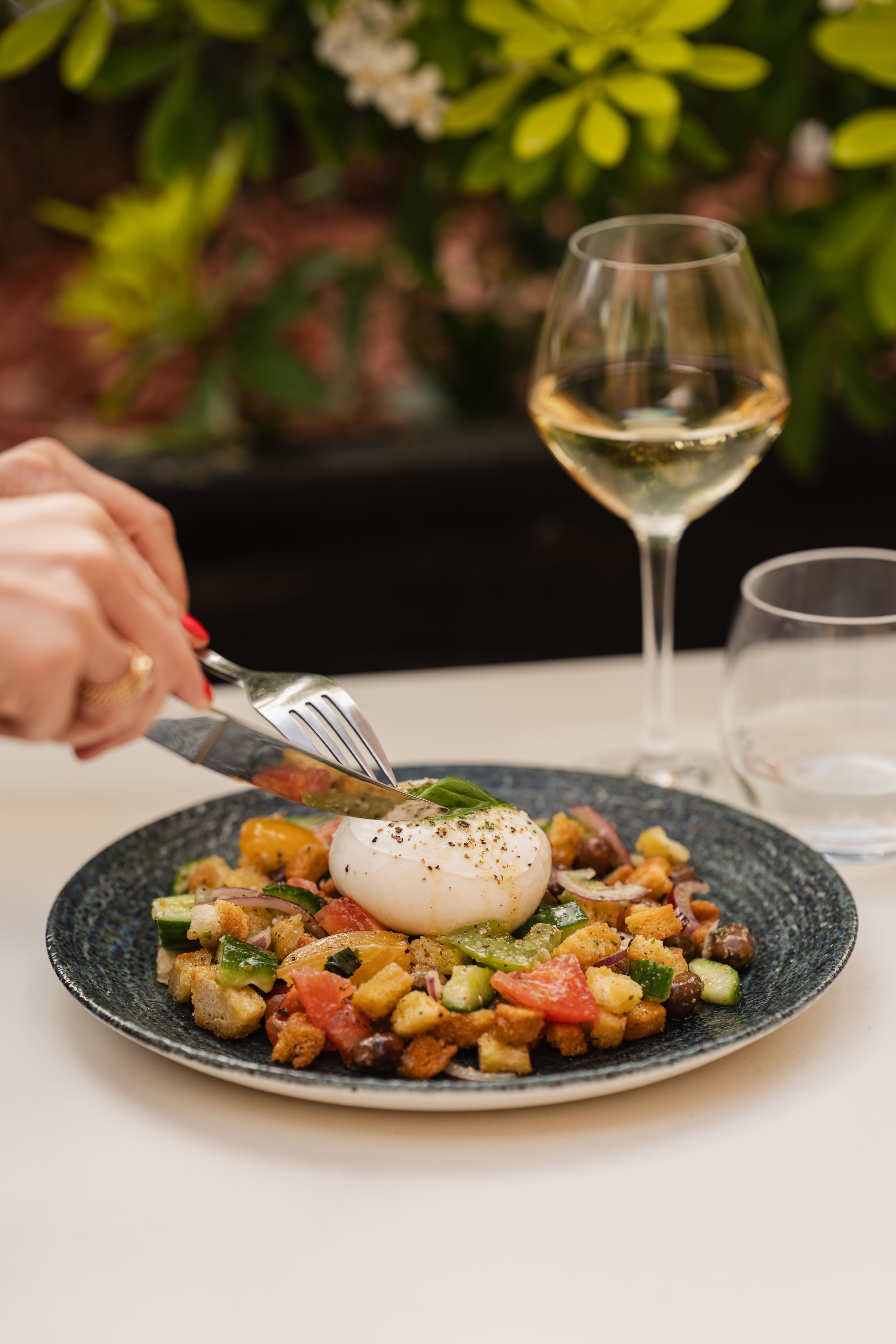 Panzanella & Burrata _ Sadik_ P2 (1) (1)